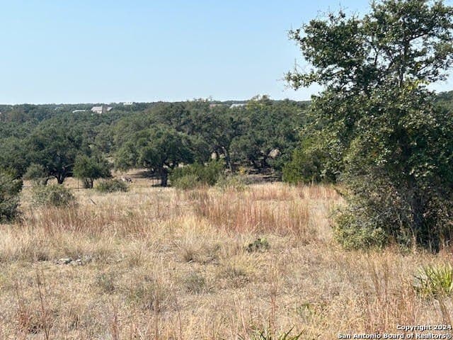 0.46 acres in Blanco County - photo 4