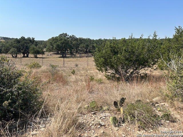 0.46 acres in Blanco County - photo 6