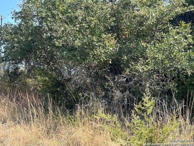 0.46 acres in Blanco County - photo 11