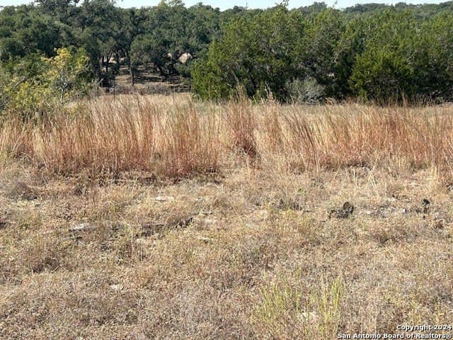 0.46 acres in Blanco County - photo 9