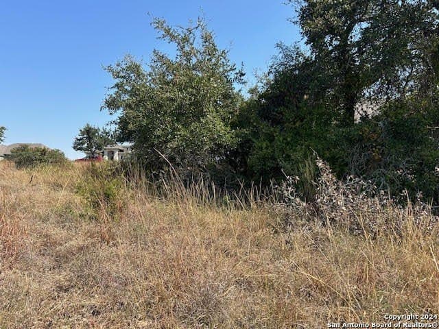 0.46 acres in Blanco County - photo 10