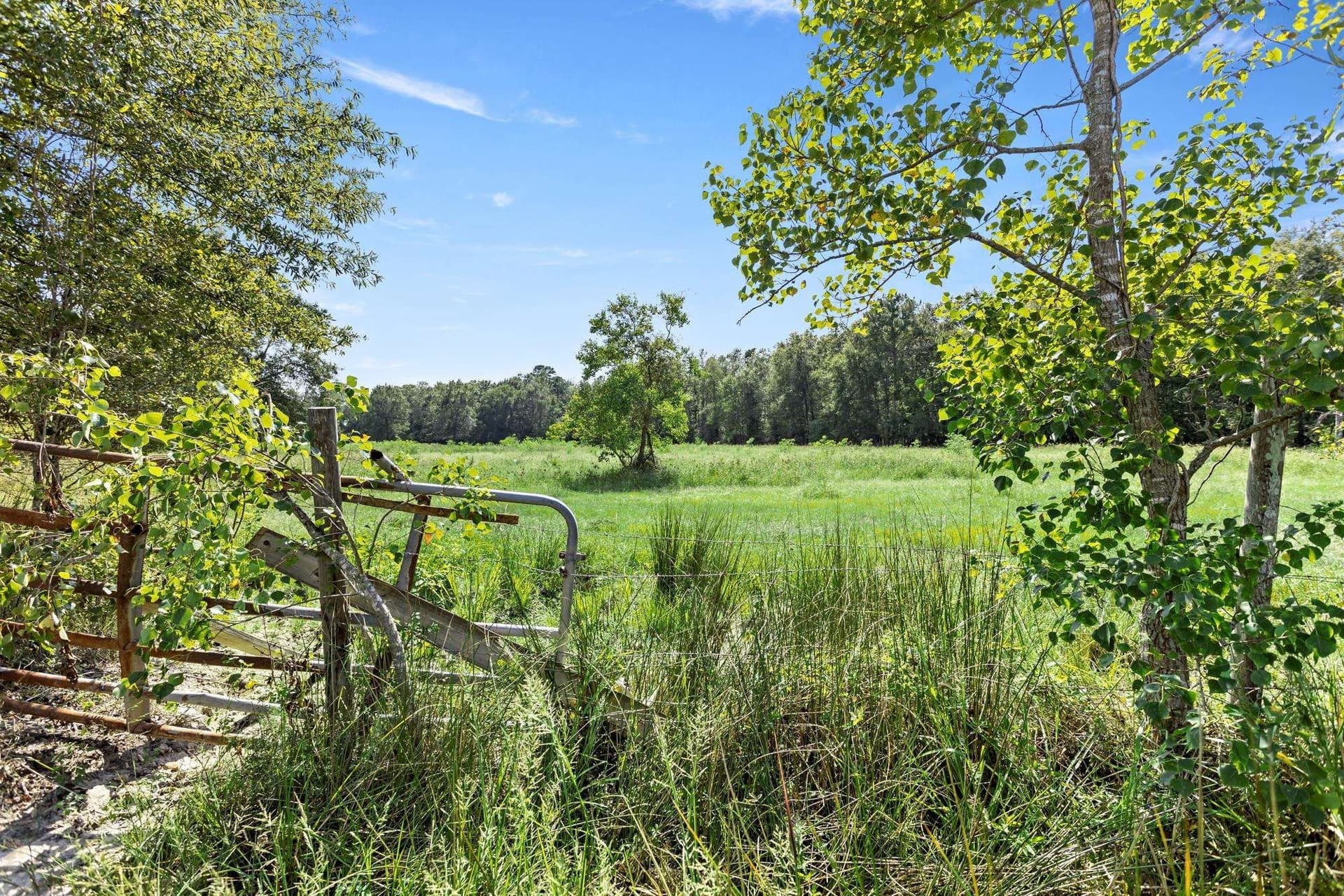 36 acres in Texas County - photo 41