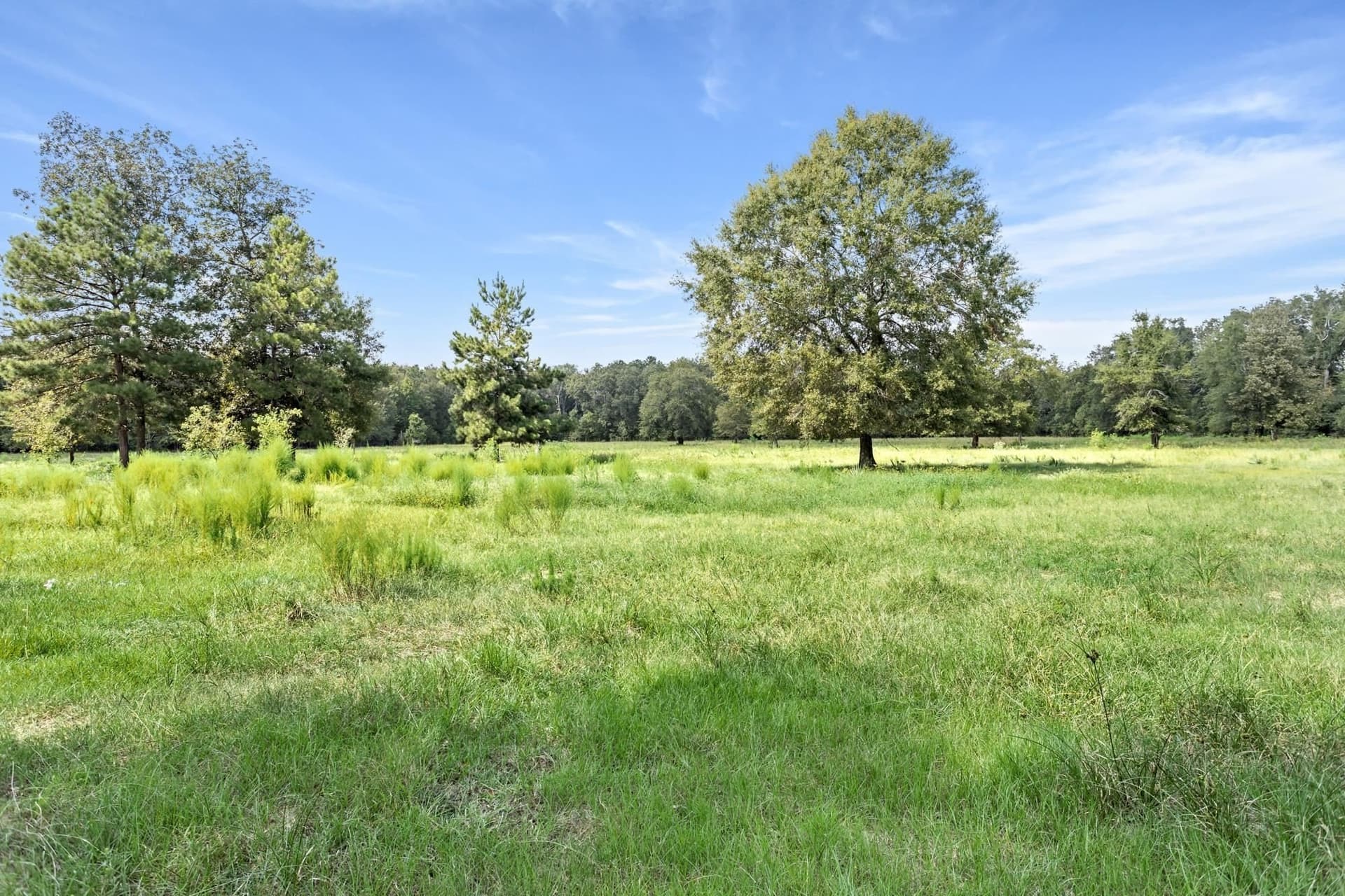 36 acres in Texas County - photo 36