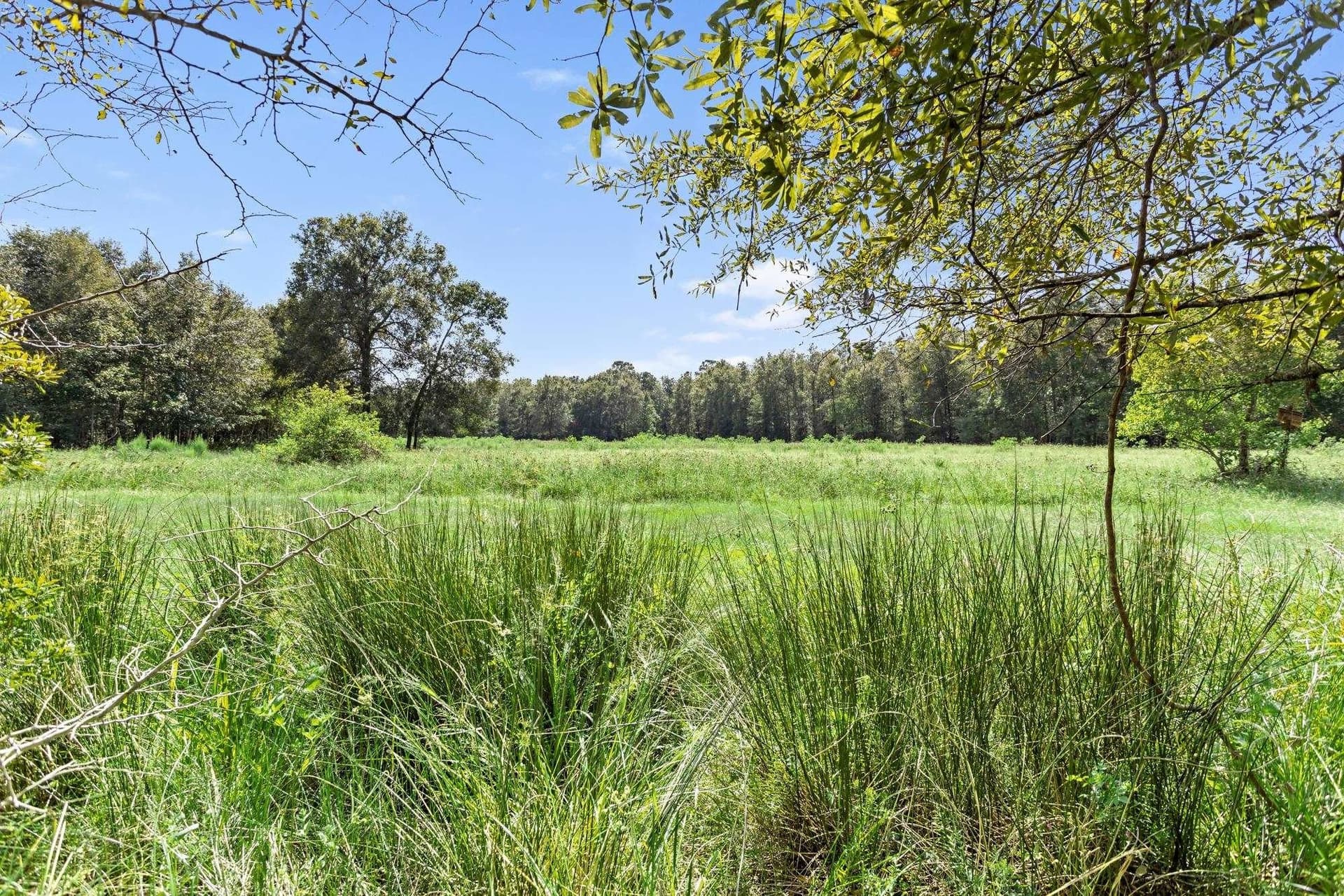 36 acres in Texas County - photo 42