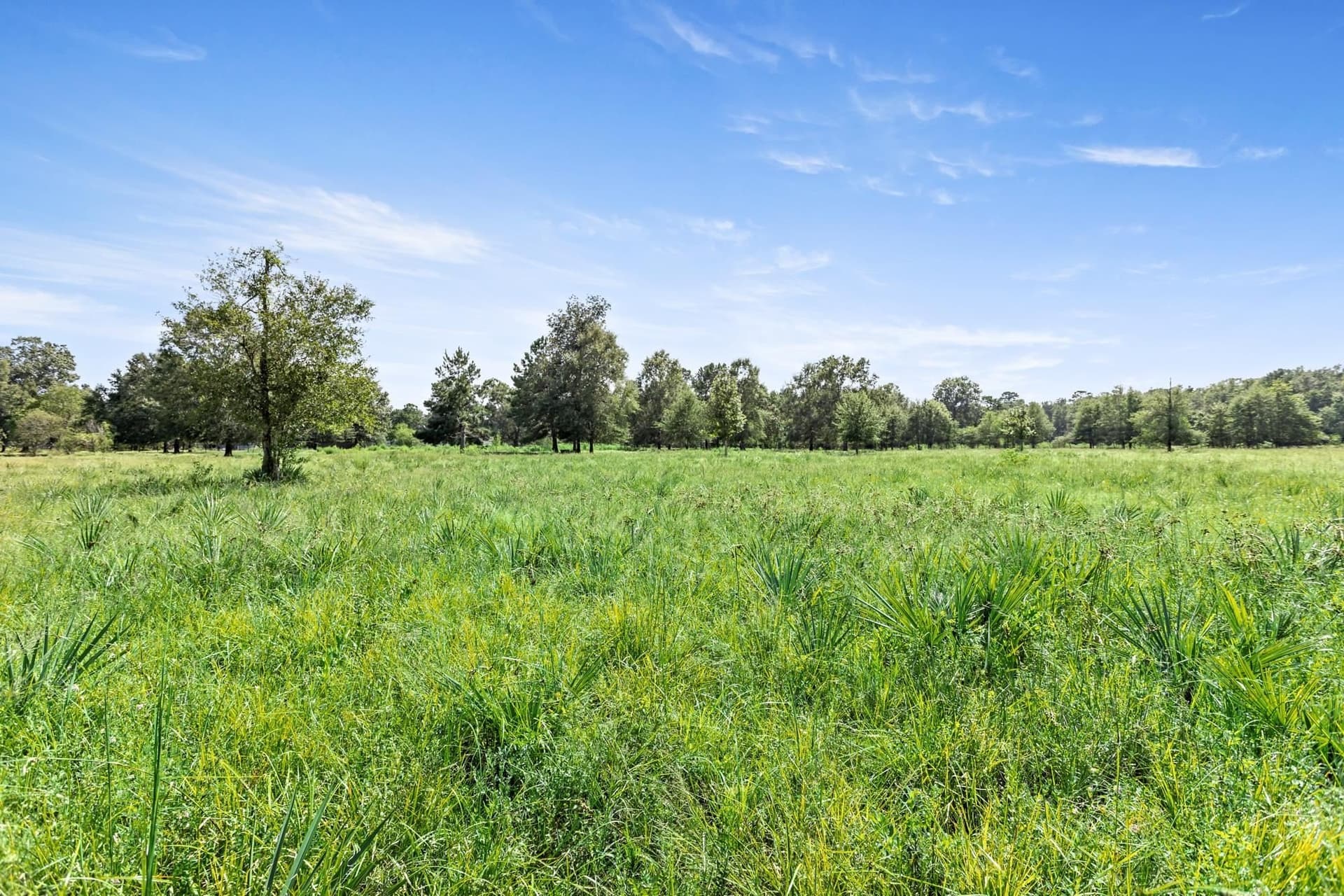 36 acres in Texas County - photo 38