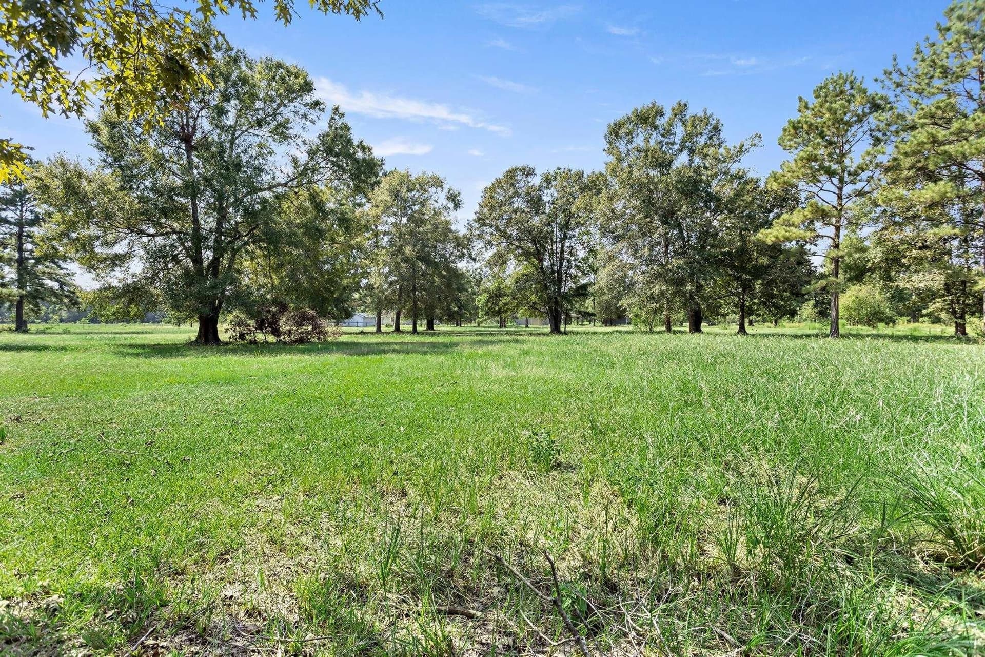 36 acres in Texas County - photo 43