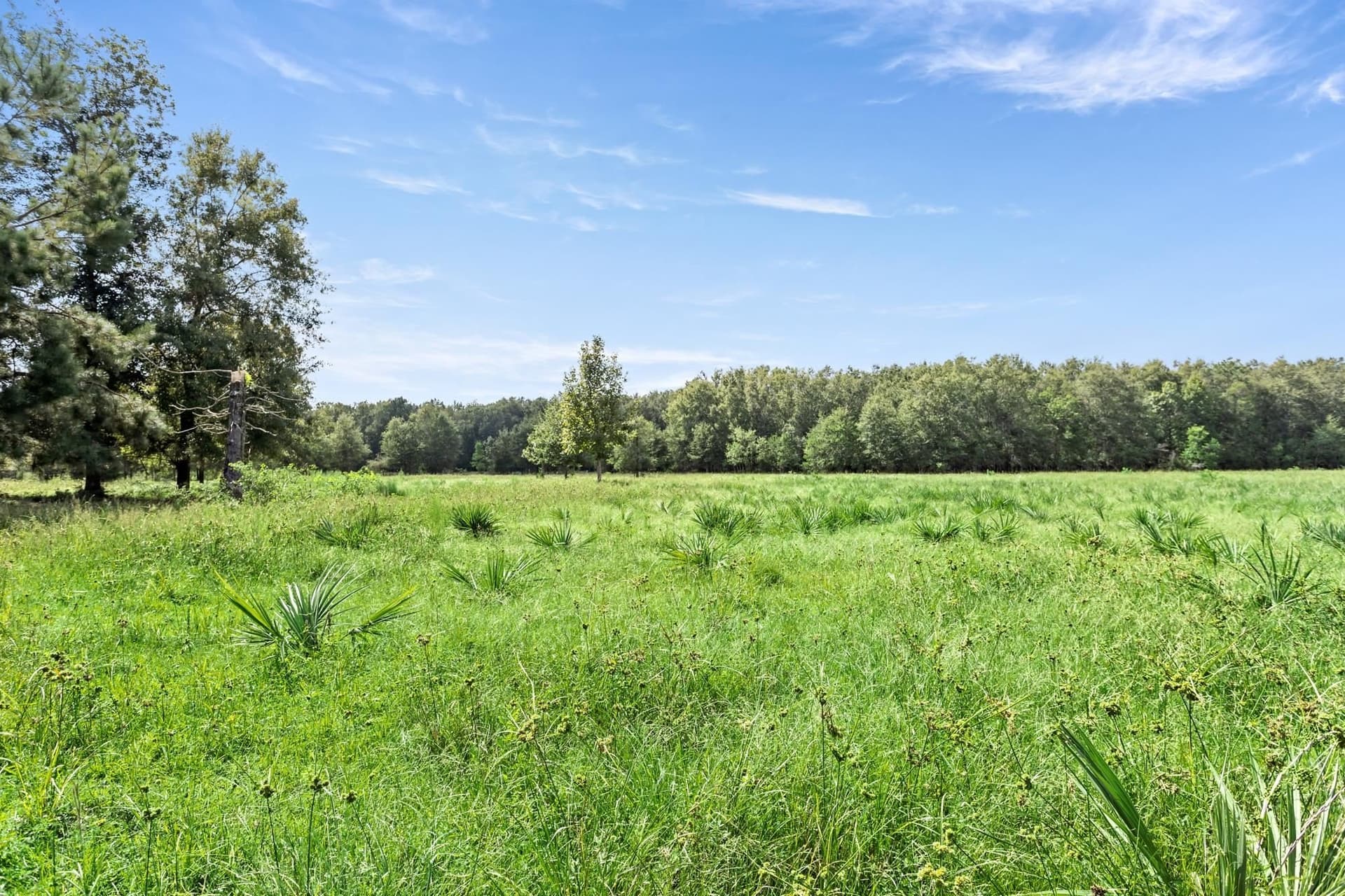 36 acres in Texas County - photo 40