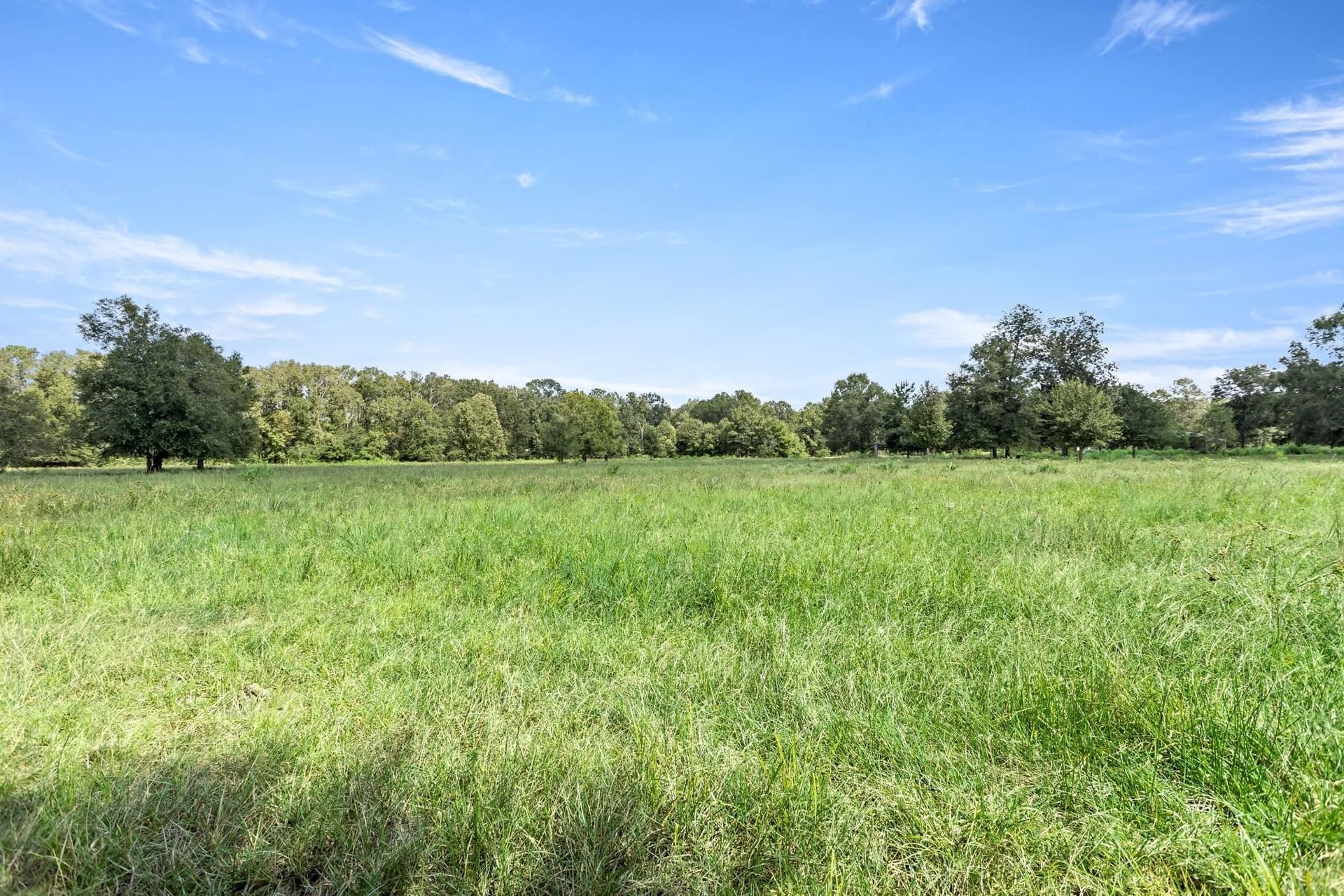 36 acres in Texas County - photo 39