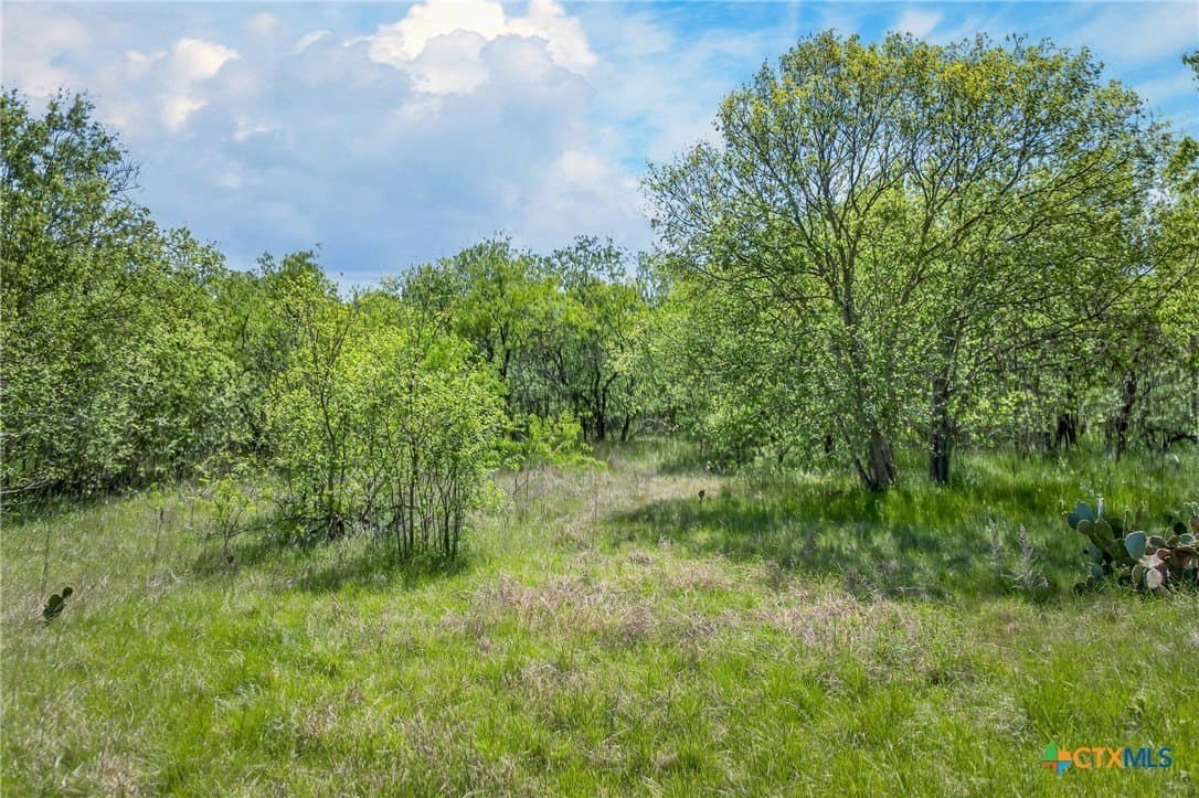 22.4 acres in Caldwell County - photo 12