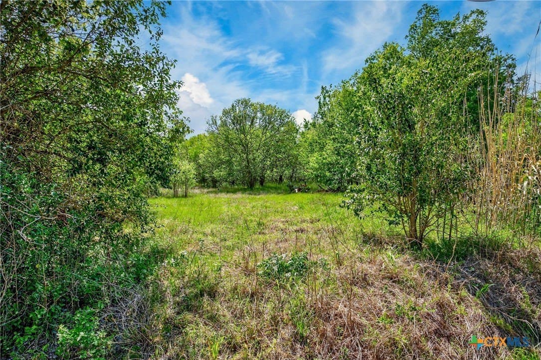 22.4 acres in Caldwell County gallery image 4