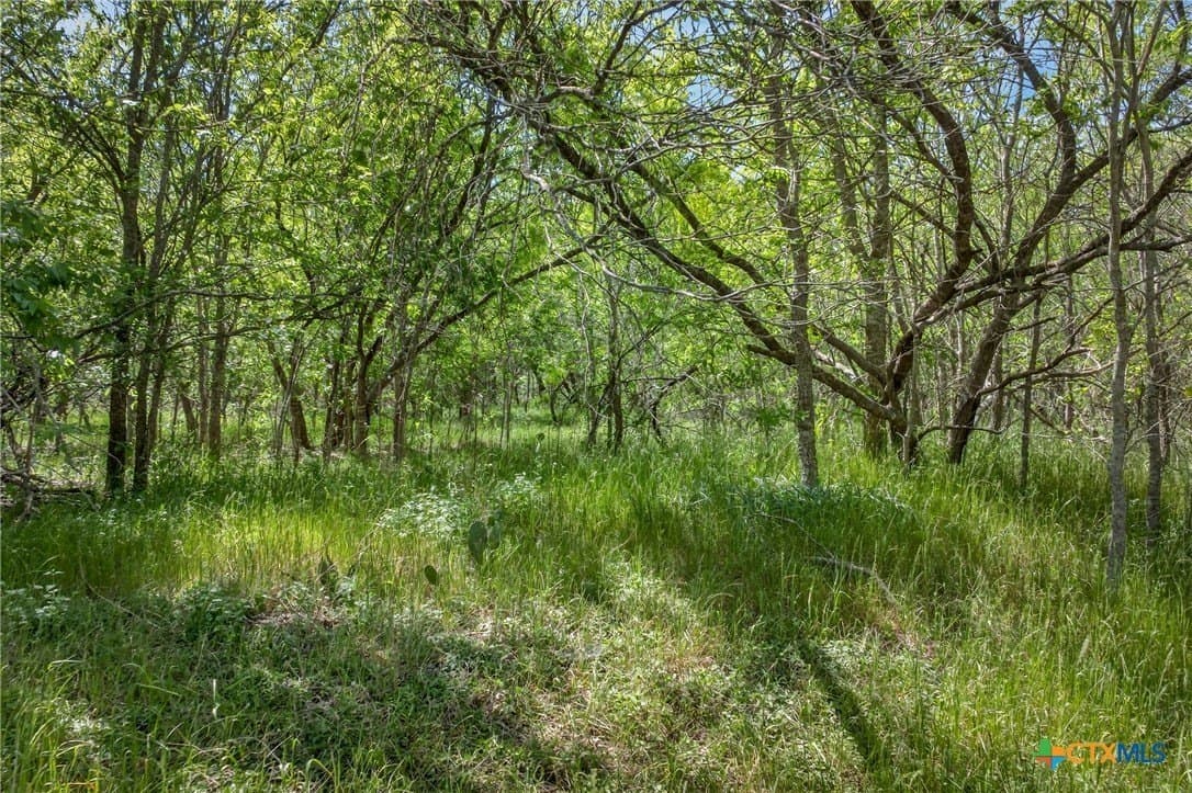 22.4 acres in Caldwell County - photo 16