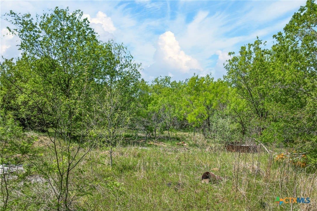 22.4 acres in Caldwell County - photo 26