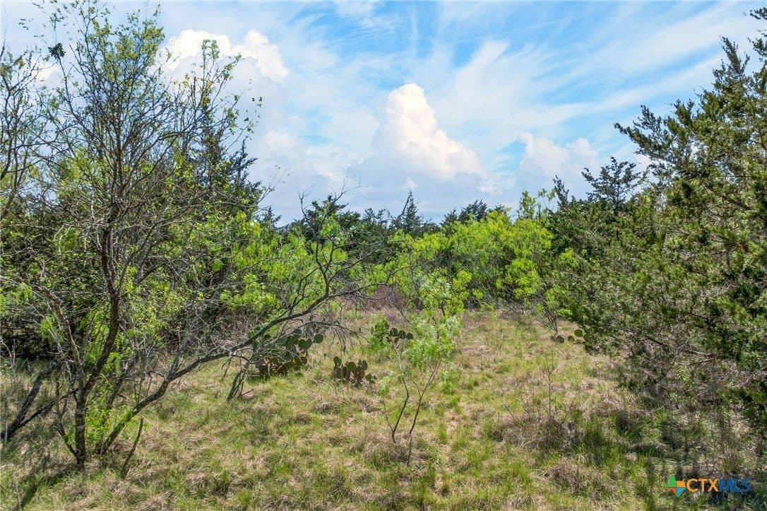 22.4 acres in Caldwell County - photo 6