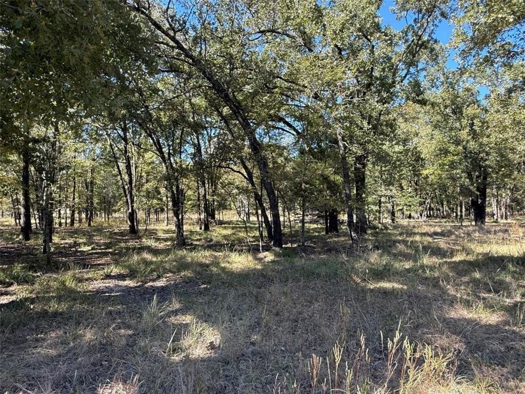 10.75 acres in Henderson County gallery image 3