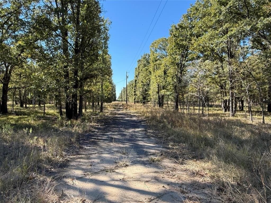 10.75 acres in Henderson County featured view