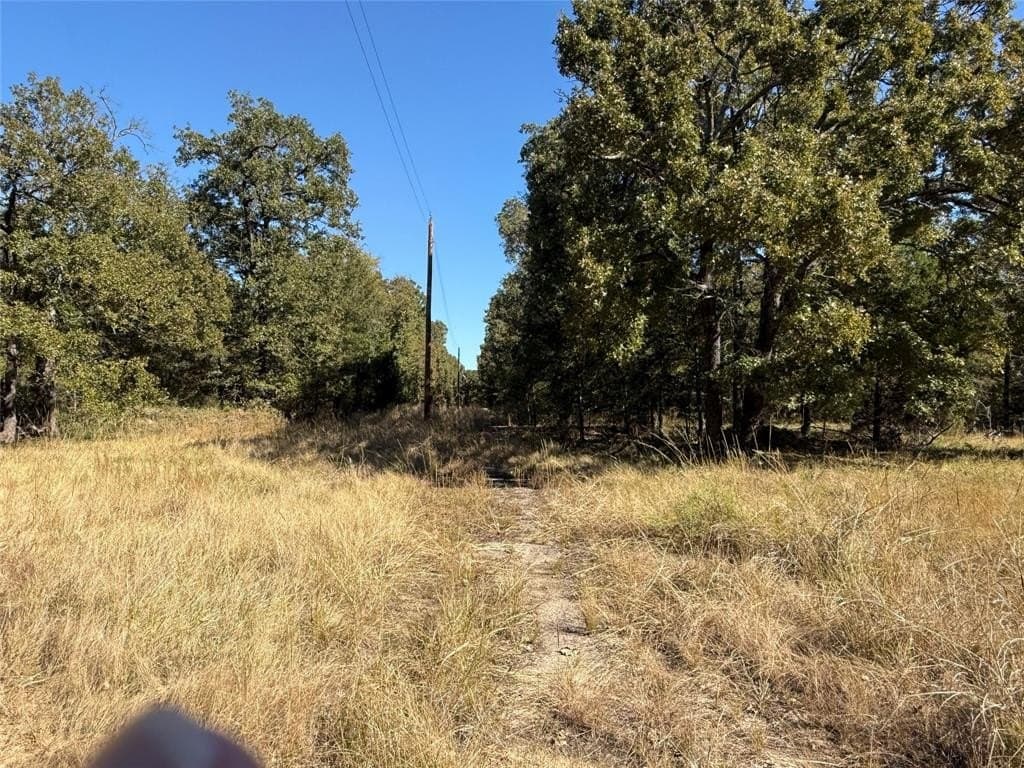 10.75 acres in Henderson County gallery image 4