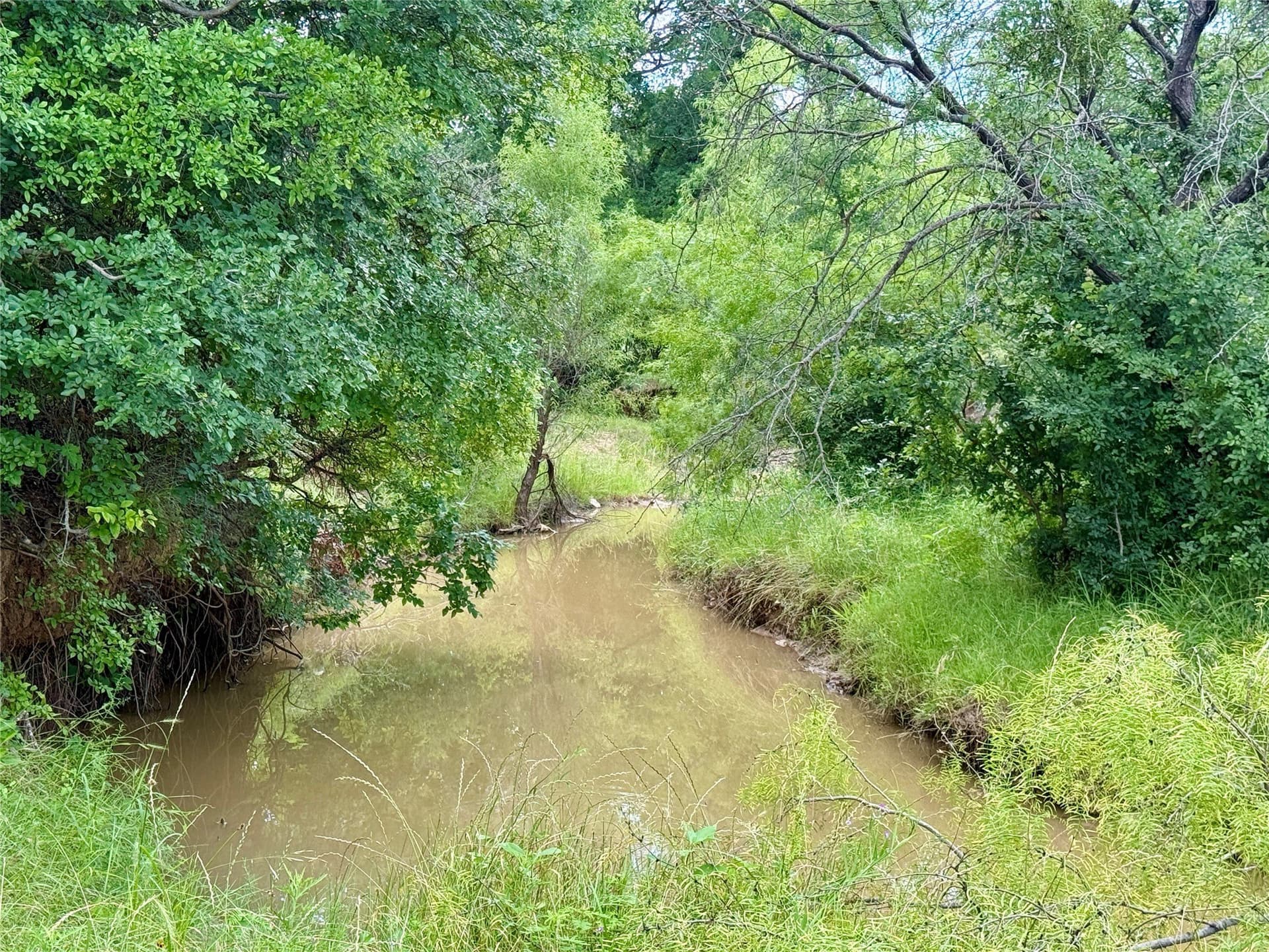 91.49 acres in Brown County gallery image 2