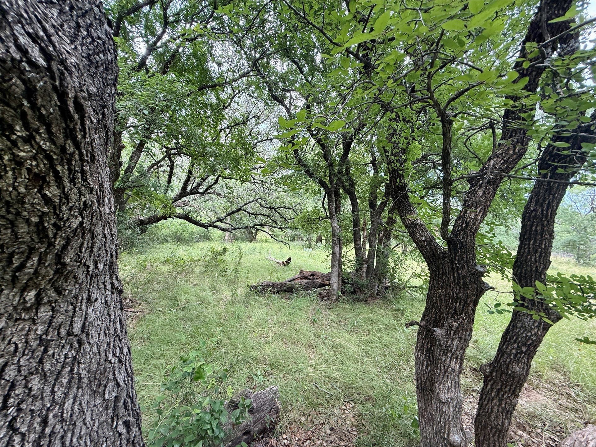 91.49 acres in Brown County gallery image 3