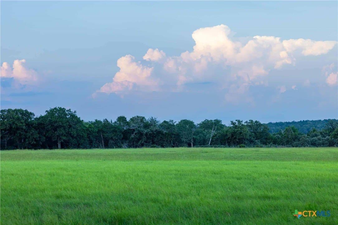 44 acres in Caldwell County gallery image 4