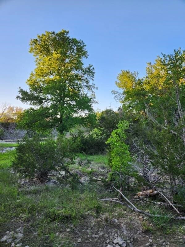 49.91 acres in Somervell County - photo 19