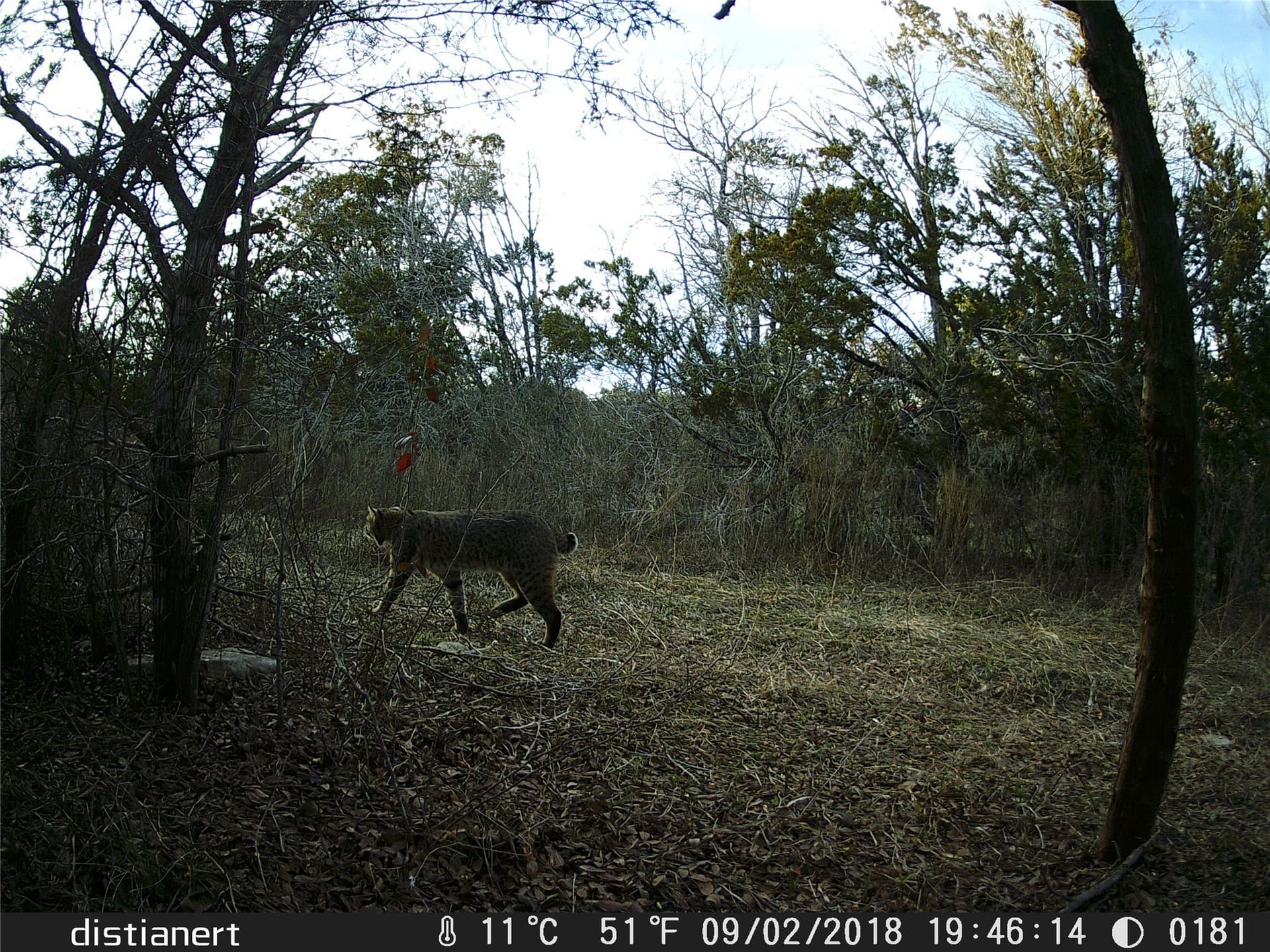 49.91 acres in Somervell County - photo 33