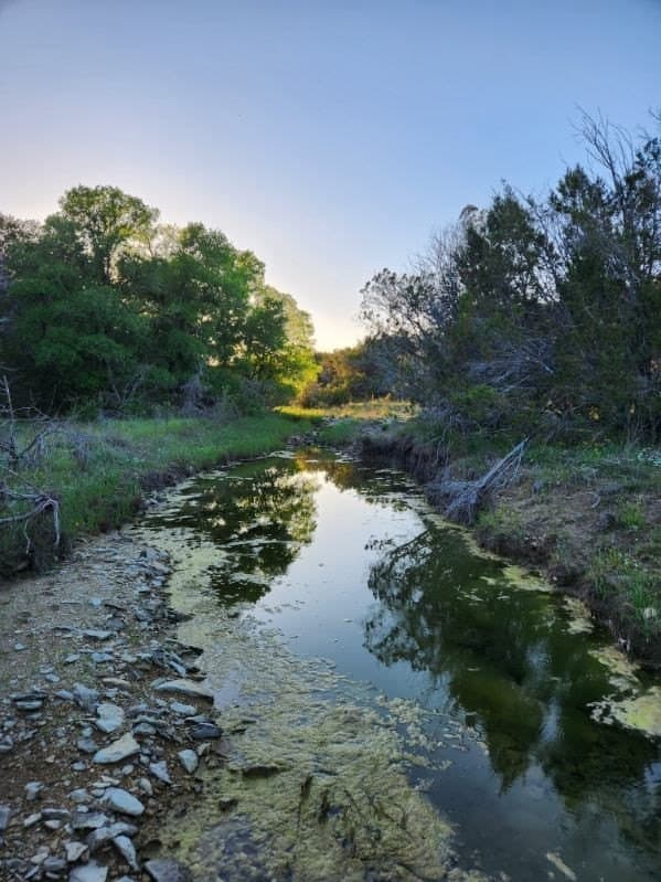 49.91 acres in Somervell County - photo 13