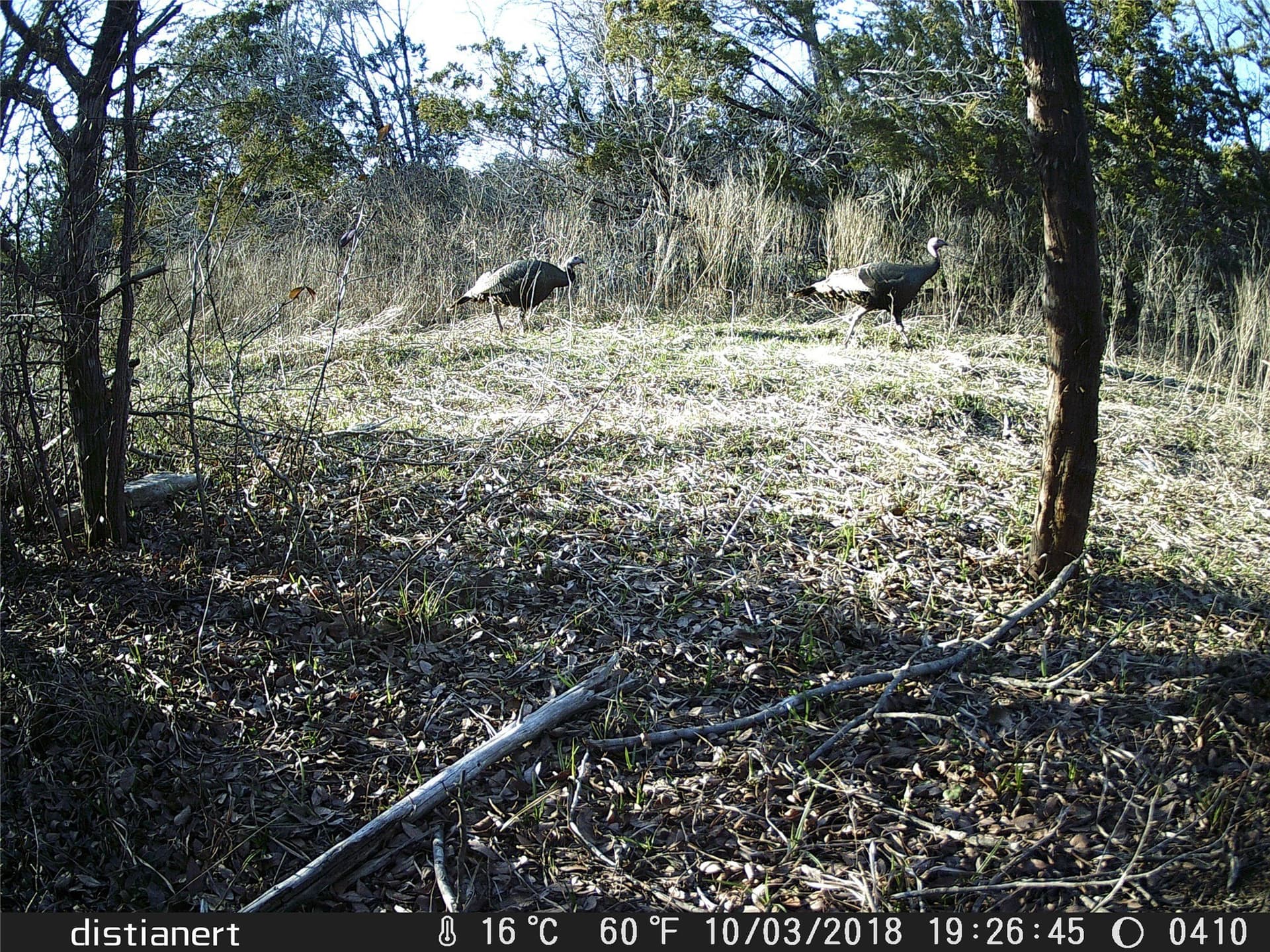 49.91 acres in Somervell County - photo 30