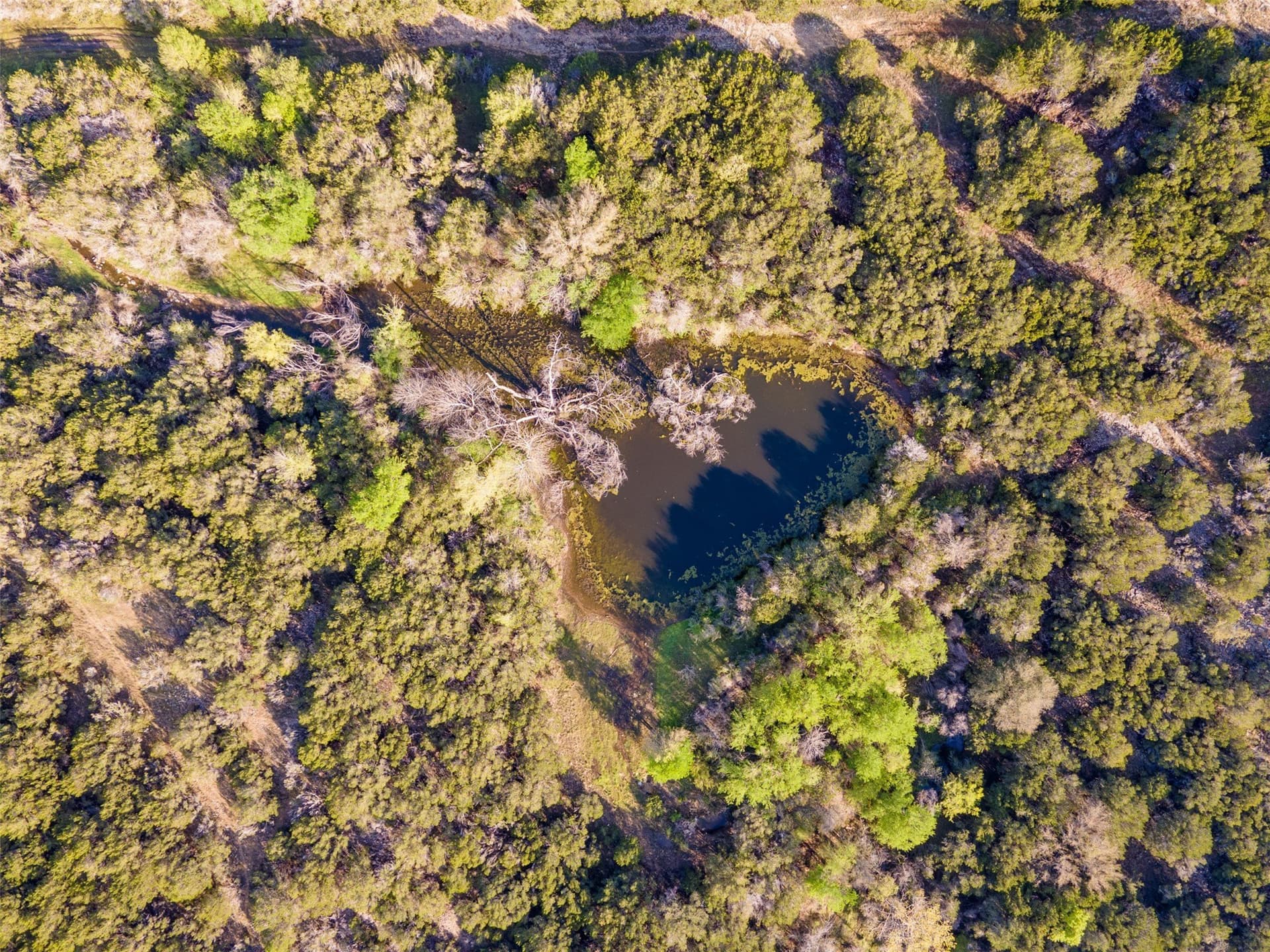 49.91 acres in Somervell County - photo 6