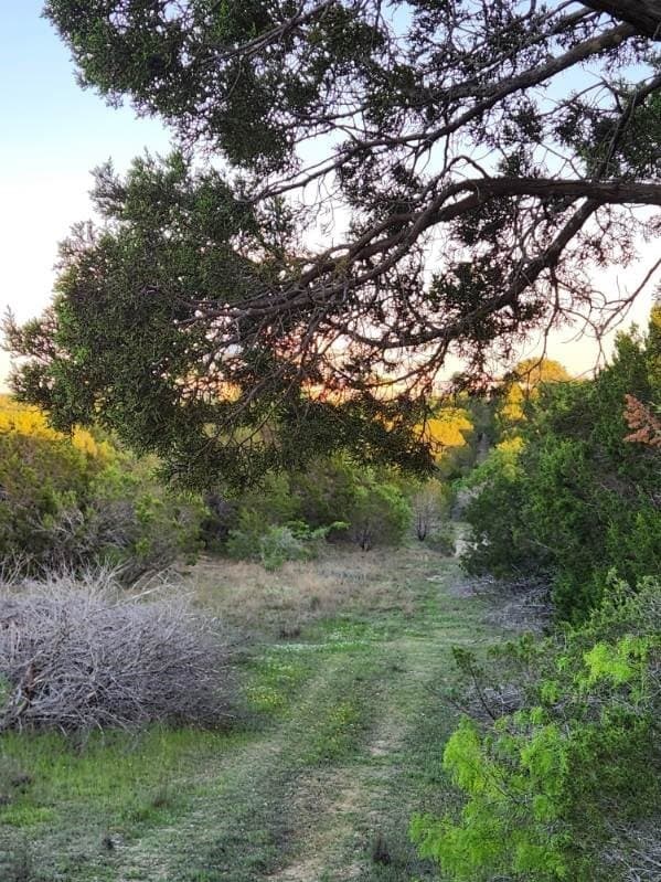 49.91 acres in Somervell County - photo 12