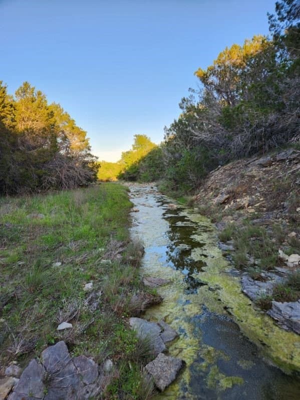 49.91 acres in Somervell County - photo 18