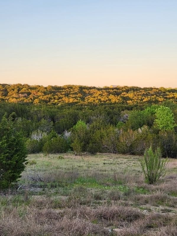 49.91 acres in Somervell County - photo 9