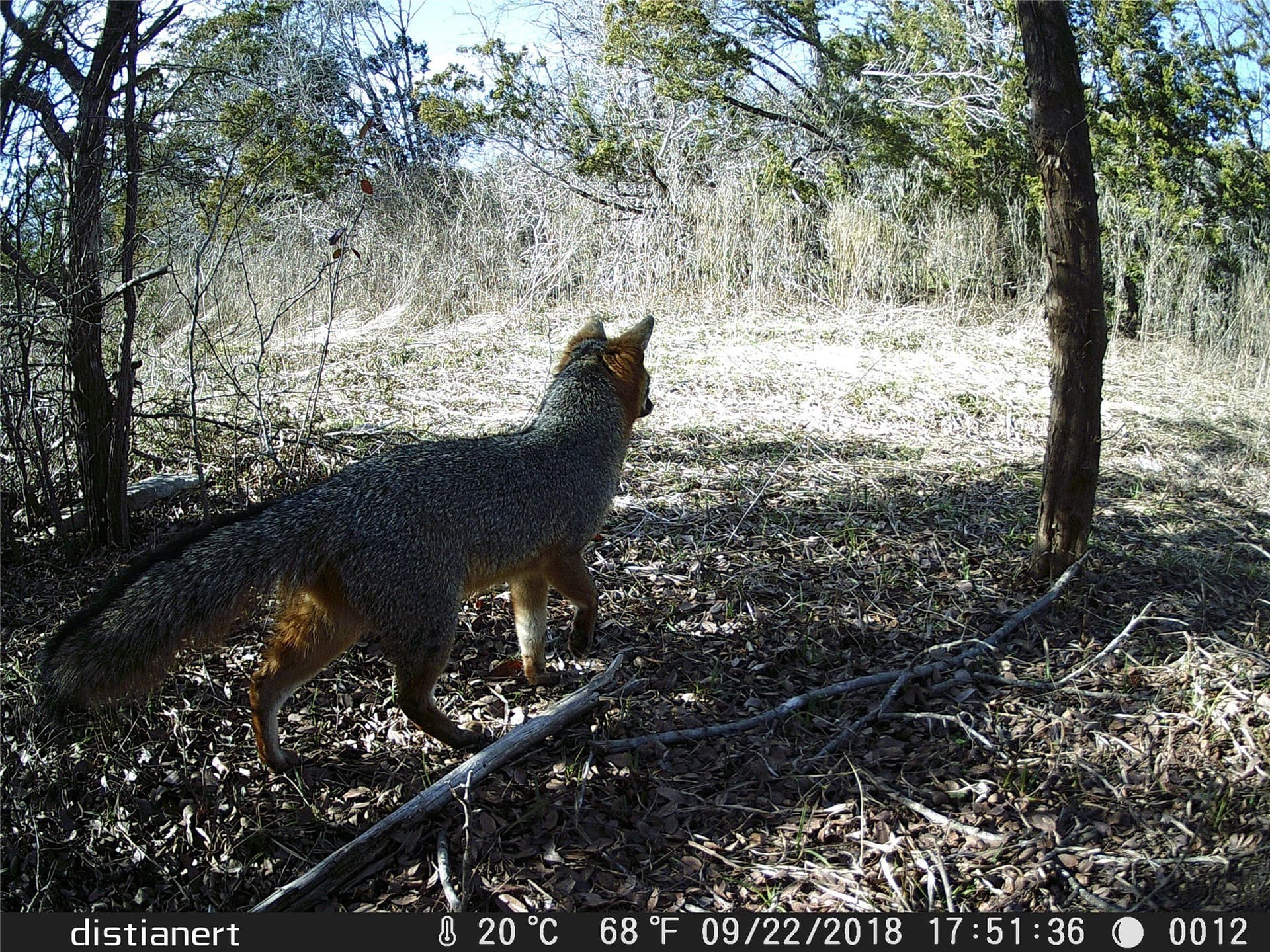 49.91 acres in Somervell County - photo 32
