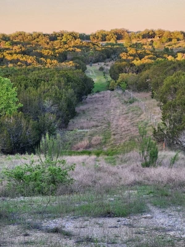 49.91 acres in Somervell County - photo 8