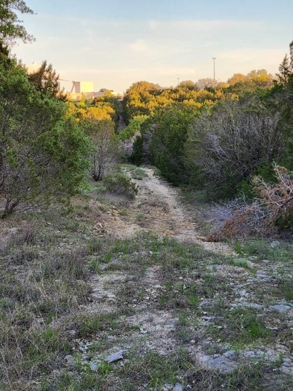 49.91 acres in Somervell County - photo 11
