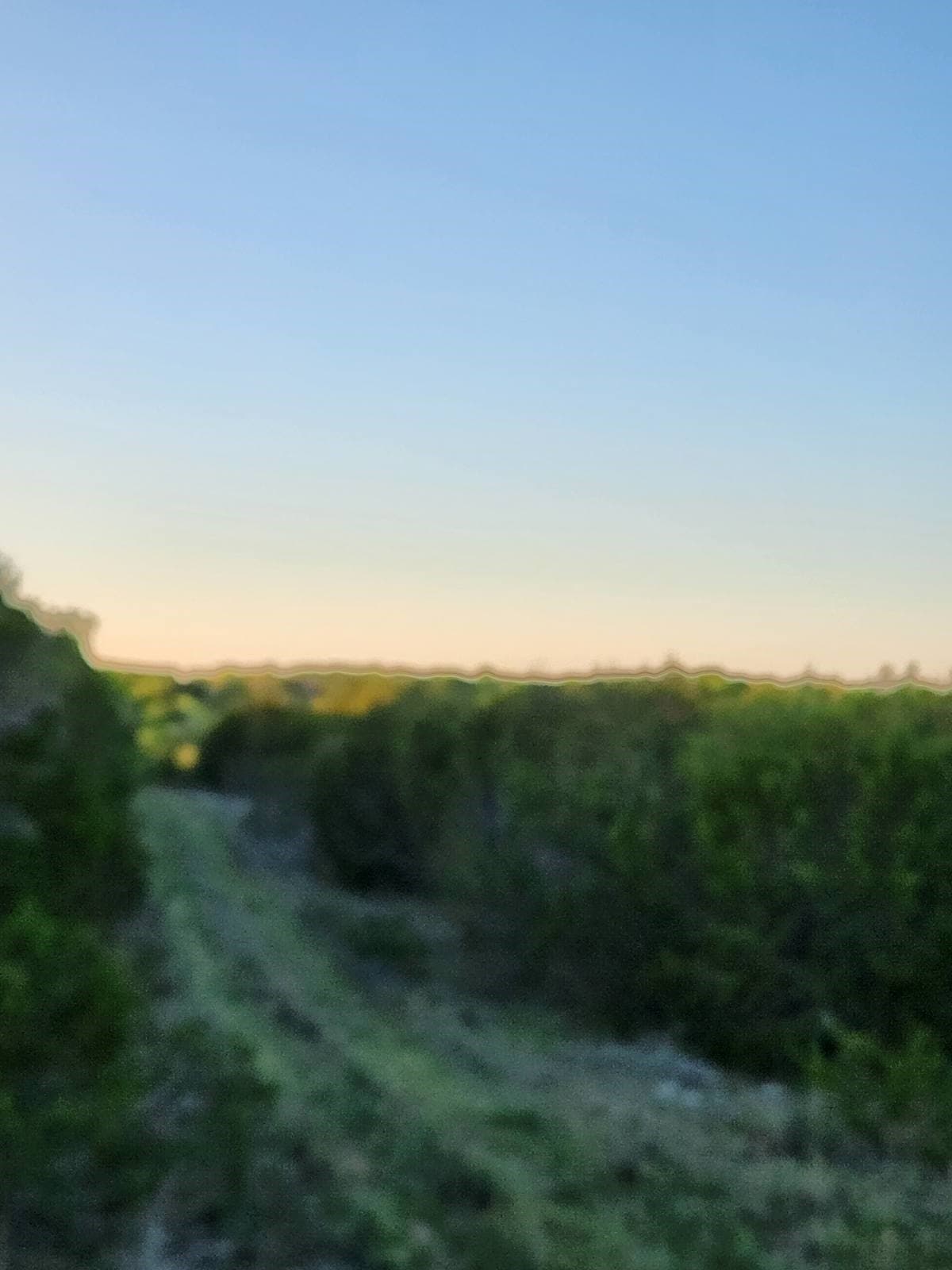 49.91 acres in Somervell County - photo 24