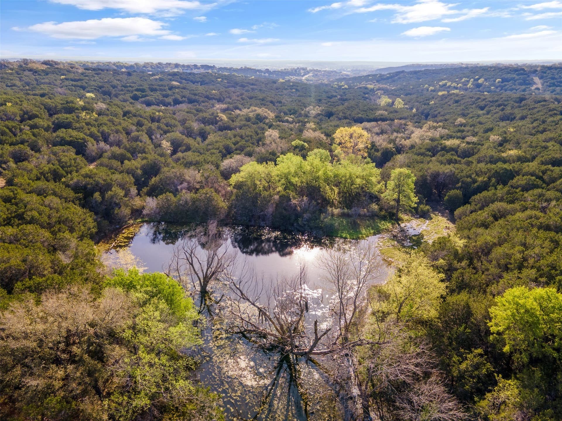 49.91 acres in Somervell County - photo 29