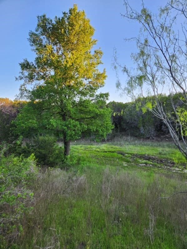49.91 acres in Somervell County - photo 10