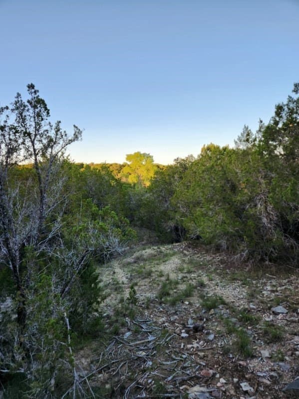 49.91 acres in Somervell County - photo 26