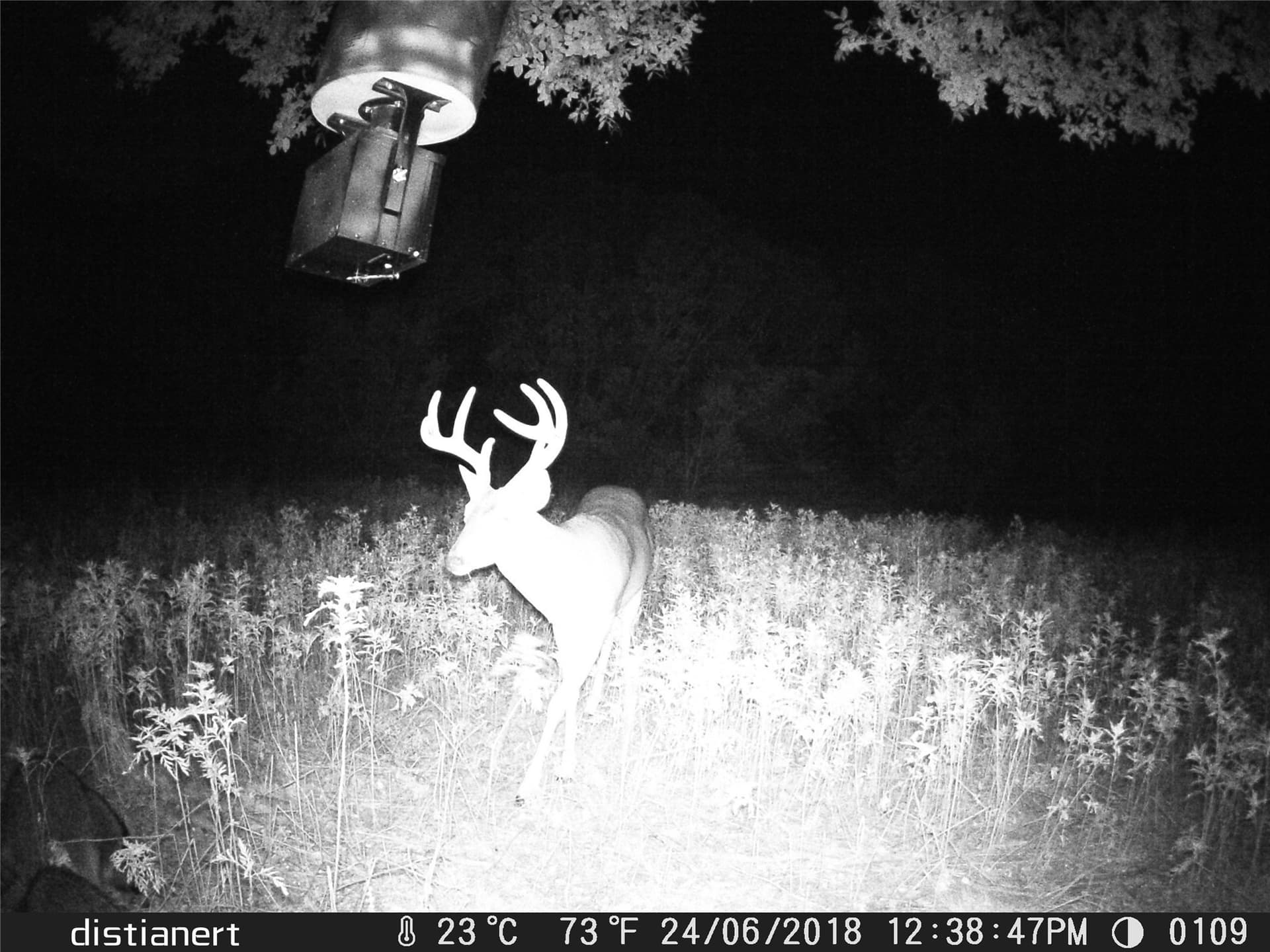 49.91 acres in Somervell County - photo 31