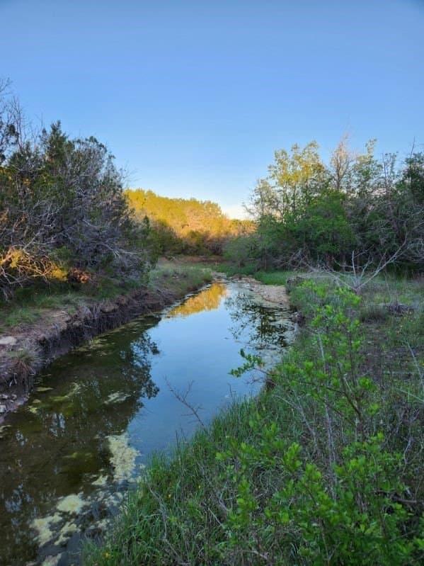 49.91 acres in Somervell County - photo 16
