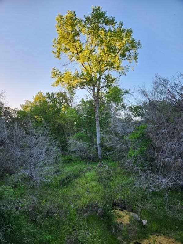 49.91 acres in Somervell County - photo 21