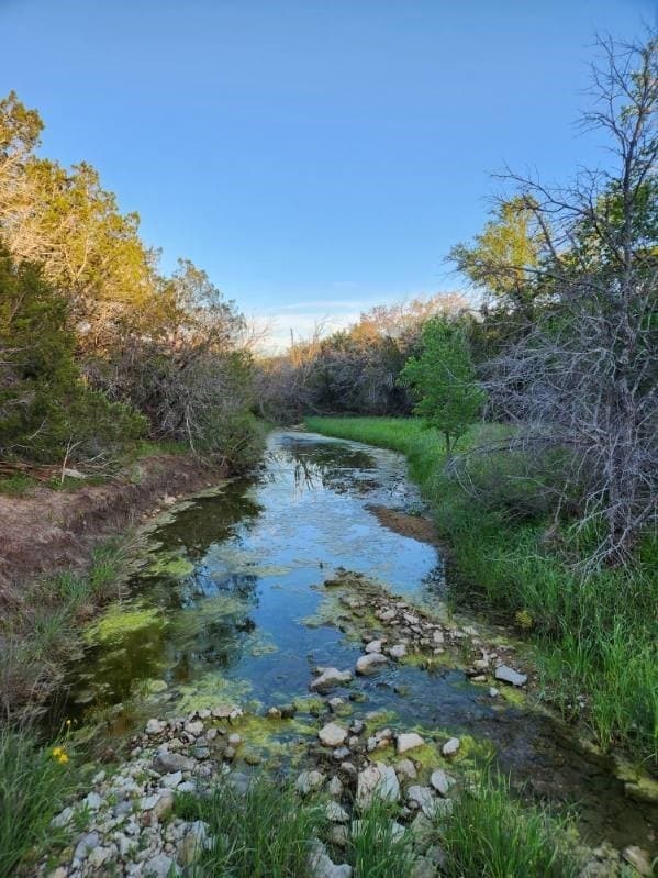 49.91 acres in Somervell County - photo 15