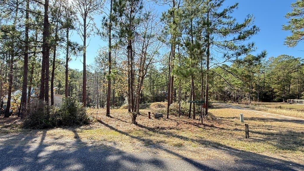 0.47 acres in Texas County - photo 7