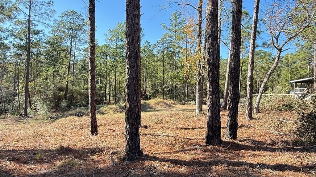 0.47 acres in Texas County gallery image 2