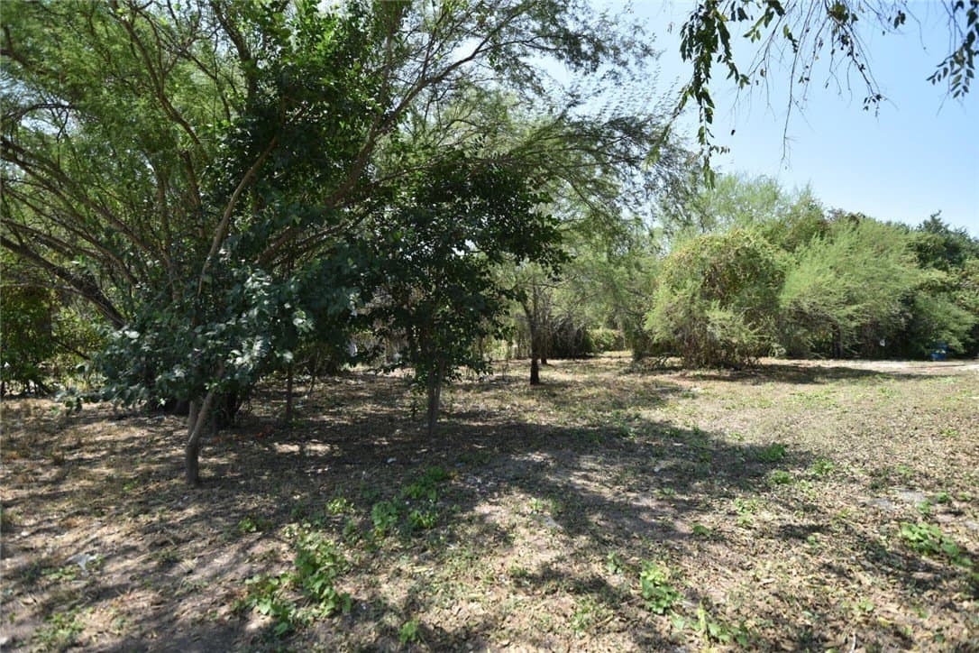 0.16 acres in San Patricio County - photo 5