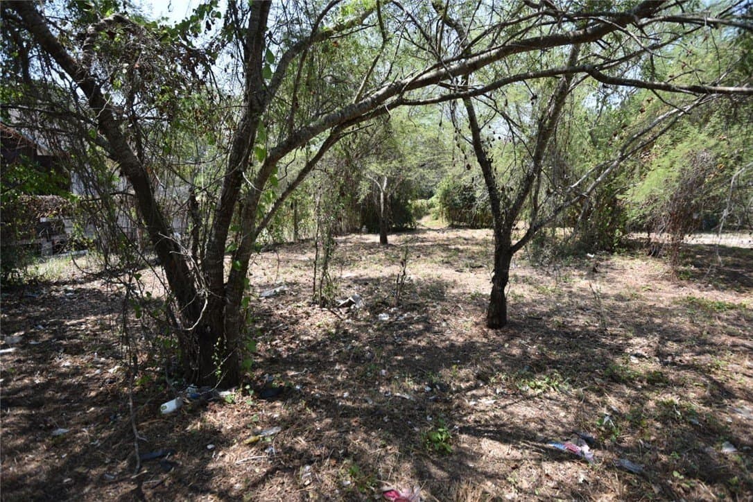 0.16 acres in San Patricio County - photo 3