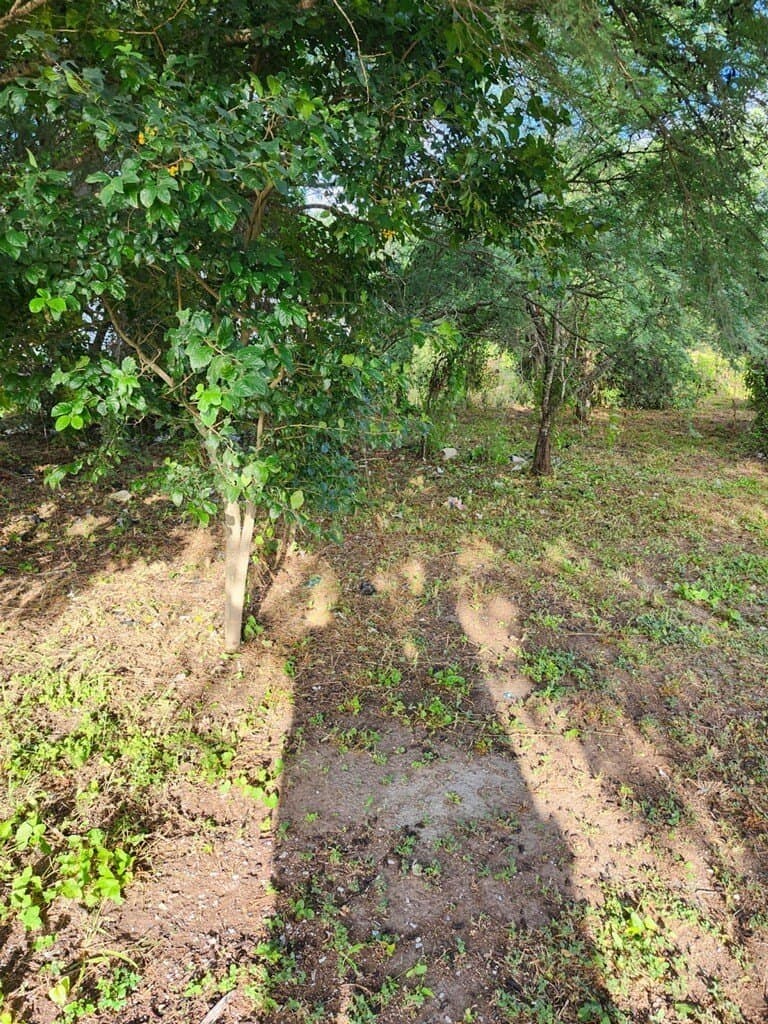 0.16 acres in San Patricio County