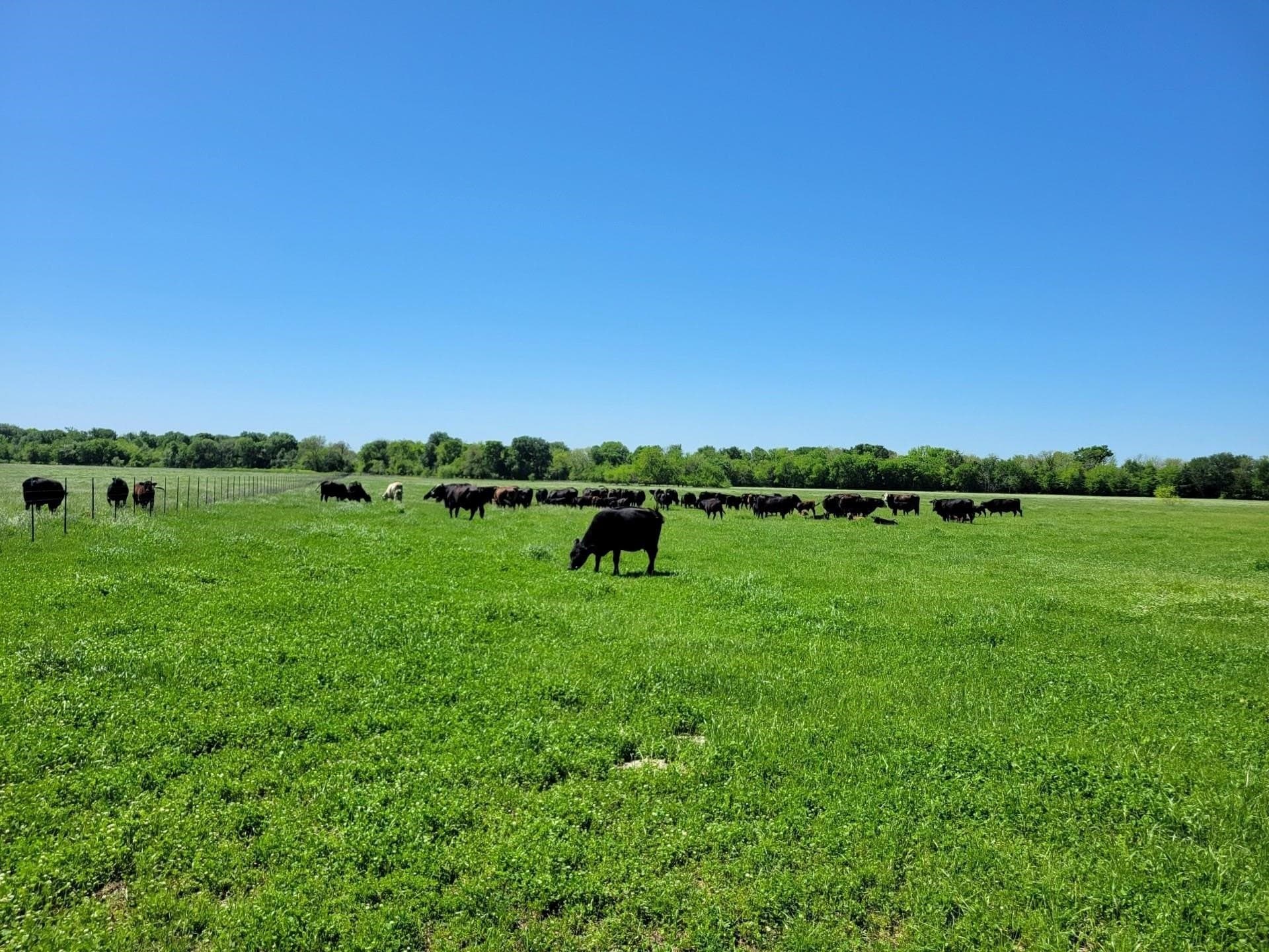 25.71 acres in Hunt County - photo 3