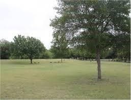 0.07 acres in Dallas County featured view