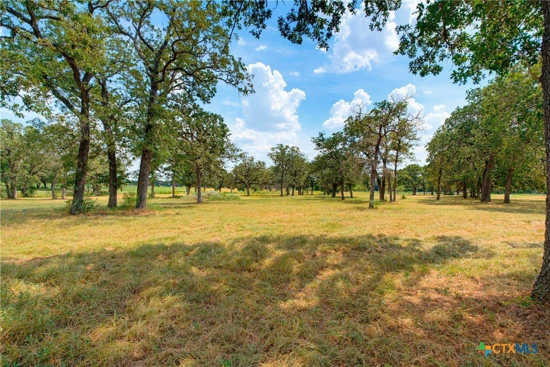 10.07 acres in Williamson County - photo 13